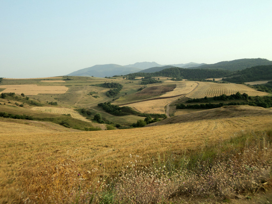 Поля скошены. Амарас.