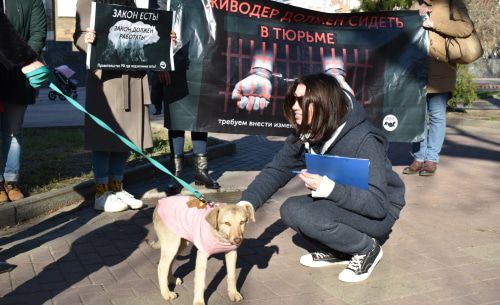 Участники зоозащитного пикета в Ростове-на-Дону. Фото Константина Волгина для "Кавказского узла"