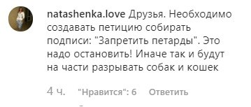 Скриншот комментария к публикации о пострадавшей от взрыва петарды в Нальчике собаке. https://www.instagram.com/p/B65qeC6K7VT/