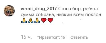 Скриншот комментария к публикации о пострадавшей от взрыва петарды в Нальчике собаке. https://www.instagram.com/p/B65qeC6K7VT/