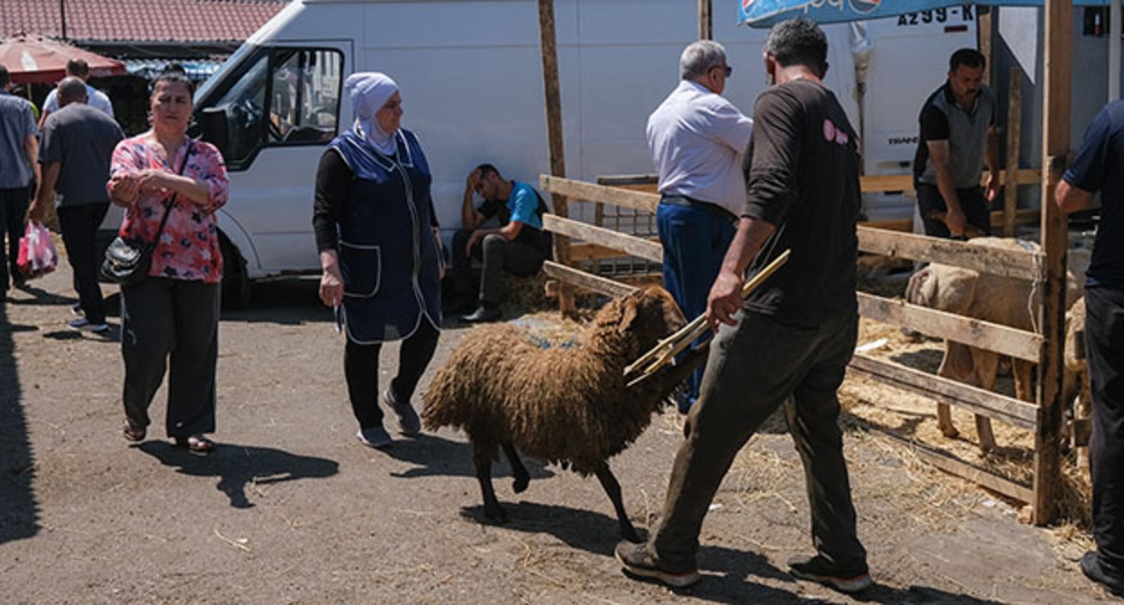 Жертвенное животное. Баку, 17 июня 2024 г. Фото Азиза Каримова для "Кавказского узла"