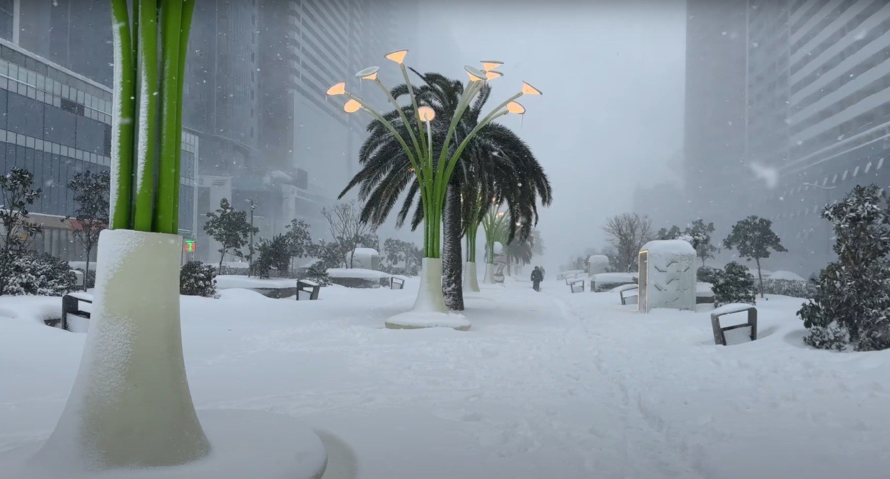 Пешеходная улица Руставели в Батуми во время сильного снегопада 24 февраля 2025 года. Фото: скриншот видео https://www.youtube.com/watch?v=hv58Hb2F0-A Пешеходная улица Руставели в Батуми во время сильного снегопада 24 февраля 2025 года. Фото: скриншот видео https://www.youtube.com/watch?v=hv58Hb2F0-A