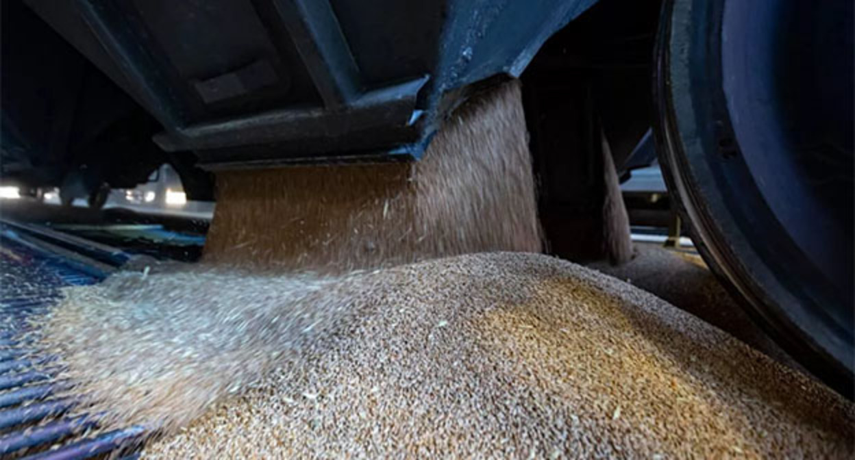 Зерно. Фото: Минтранс России Зерно. Фото: Минтранс России