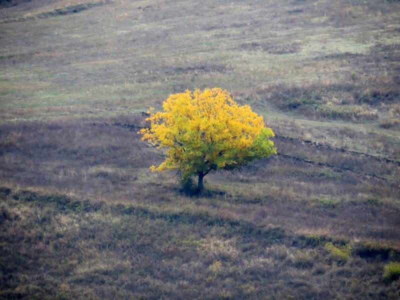 Мохренеские фотозарисовки - 15.